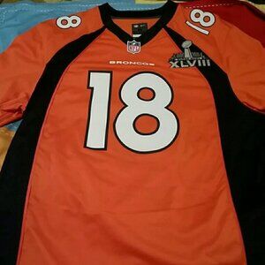 Payton manning jersey